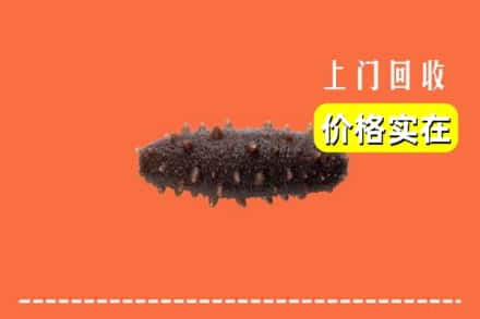 淄博市张店回收海参